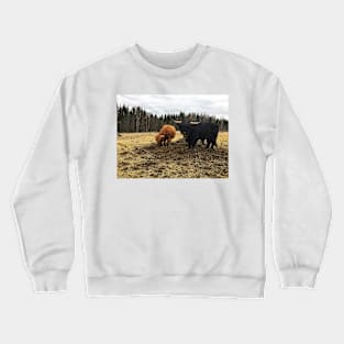 Scottish Highland Cattle Cow and Bull 2367 Crewneck Sweatshirt